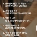 신서귀포 이미지