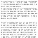 하이브문건 하이브소속 아이돌은 상관없지 않느냐에 대한 대학입시 생기부 비유 이미지