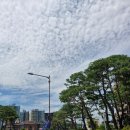 옥동부산복어 이미지