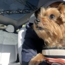 까치세차장 이미지