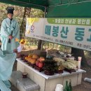 평안이네 이미지
