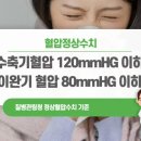 정상에서 이미지