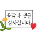 아리아무인텔 이미지