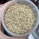 이동현한의원 | [미실란 블로그] 불리지않아도 되는 유기농발아현미 미실란발아현미 후기