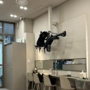 코모드(COMOD) | [신용산] 코모드용산점 | 신용산역미용실 추천 탈색없이 애쉬브라운염색 잘하는 곳 성욱원장님 후기