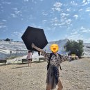 현숙이네 | 튀르키예 여행 이야기 4 파묵칼레, 무화과 마을