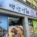 백년명태 이미지