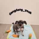연지3