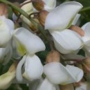 바울농장 이미지