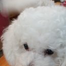 홍성읍행정복지센터 이미지