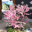 화서문 안내소 이미지