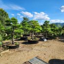 가송농장 이미지