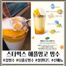 설빙 광양중마점 | 스타벅스 신메뉴 애플망고 빙수 블렌디드 솔직 후기 (가격과 맛 총정리)