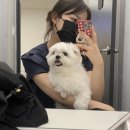 바카스 PC | 더웠던 방학을 ㅁr무ㄹl하며,