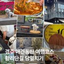 낙동강변로4-23 | 경주애견동반여행 추천! 황리단길 여름 당일치기 코스 총정리