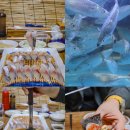 제주부리는횟집제주공항점 | 제주 고등어회 원담 제주시 공항근처 횟집(제주 삼성혈 맛집)