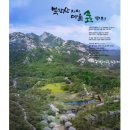 지오조경 이미지