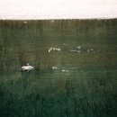 대명민박 이미지