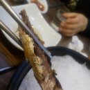 그물에걸린바다풍경 이미지