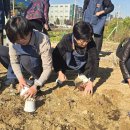 수원-1700 이미지