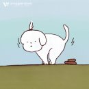 제주자연동물병원 이미지