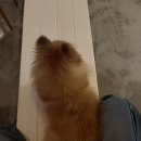 후추하우스 이미지