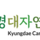 경대자연병원 이미지