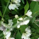 양각산장 이미지