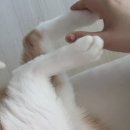 숨쉬는떡볶이&열이네밥상 | 5월에 얼마나 부지런하게 논건지 감이 옴