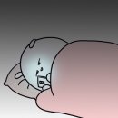 항북길 네이버블로그