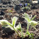 양양늘솔길 이미지