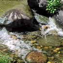 맑은물소리 이미지