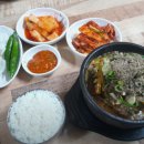 등뼈의 신 - 논산시 | 등뼈의 신