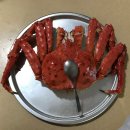 흔한 게살후기]포항 대게/포항 대게집/포항 수입대게/킹크랩/JY씨푸드/제이와이씨푸드