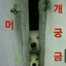 지금