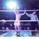 태권도 한국체육관 이미지