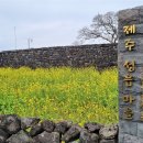 미로항공여행사 이미지