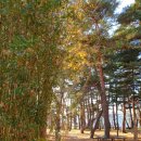 허균+허난설헌기념관 이미지