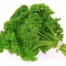 파슬리 이미지