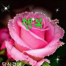 행복한날 이미지