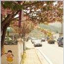 김삿갓면사무소 이미지