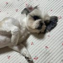 헬로우버디 광교점 이미지