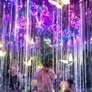 광명동굴 | 주말 아이랑 어디갈까? 광명동굴 후기! 경기도 가볼만한곳