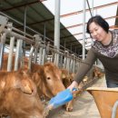 화진농장 이미지