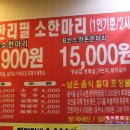 미스터뚱 이미지