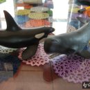 아빠와 고래 이미지