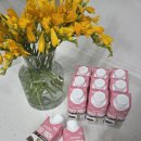 (주)정식품 | 바쁜 일상 속 한 끼 해결, 정식품 그린비아 완전균형영양식 커피맛 솔직후기!