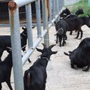 김용주농장 이미지