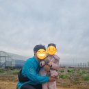 샤인무용단 | 월간 나. 2025년 5월