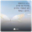 세류초등학교 이미지